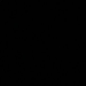 Meet your Posher, Kyra